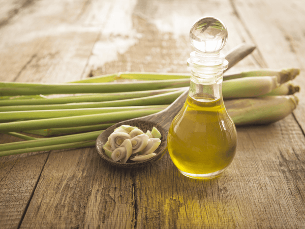 Lemongrass essential oil is derived from lemongrass through a steam distillation process.
