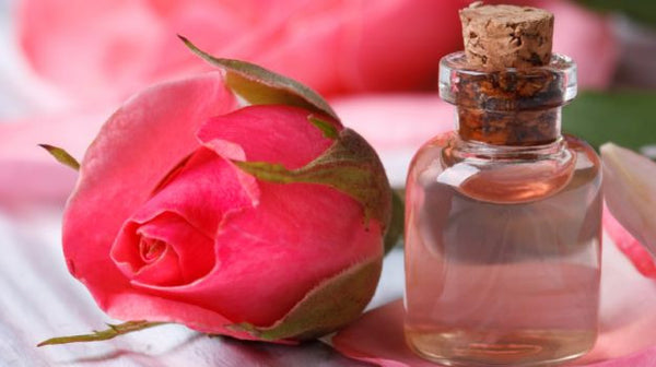 Rose water is derived from rose petals through a process of steam distillation.