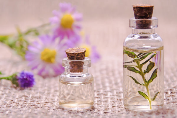 Essential Oils vs Fragrance Oils - TreeActiv