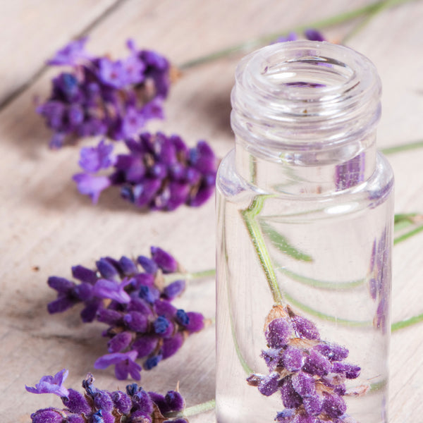 Lavender Water - TreeActiv - Our Ingredients