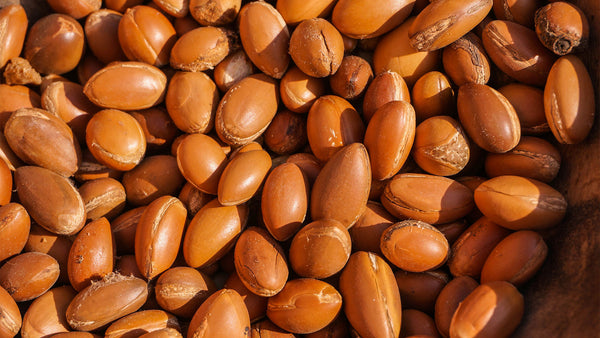 Argan oil is extracted from kernels found in the fruits of argan tree. 