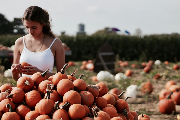 Top Reasons Why Pumpkin Is Great For Your Skin