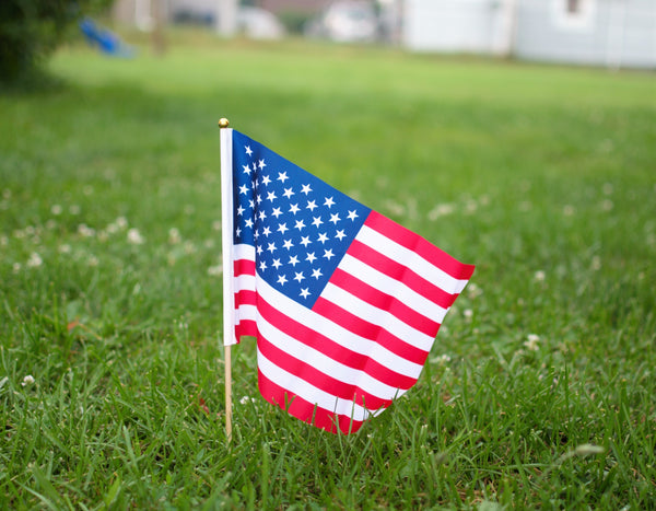 Eco-Friendly Ways to Celebrate the 4th Of July